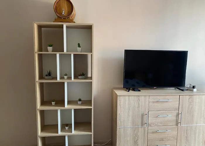 Bon Voyage Kawalerka Apartment